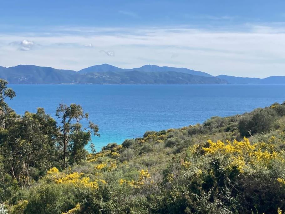 Casa Turrigiani Villa Sagone  Bagian luar foto