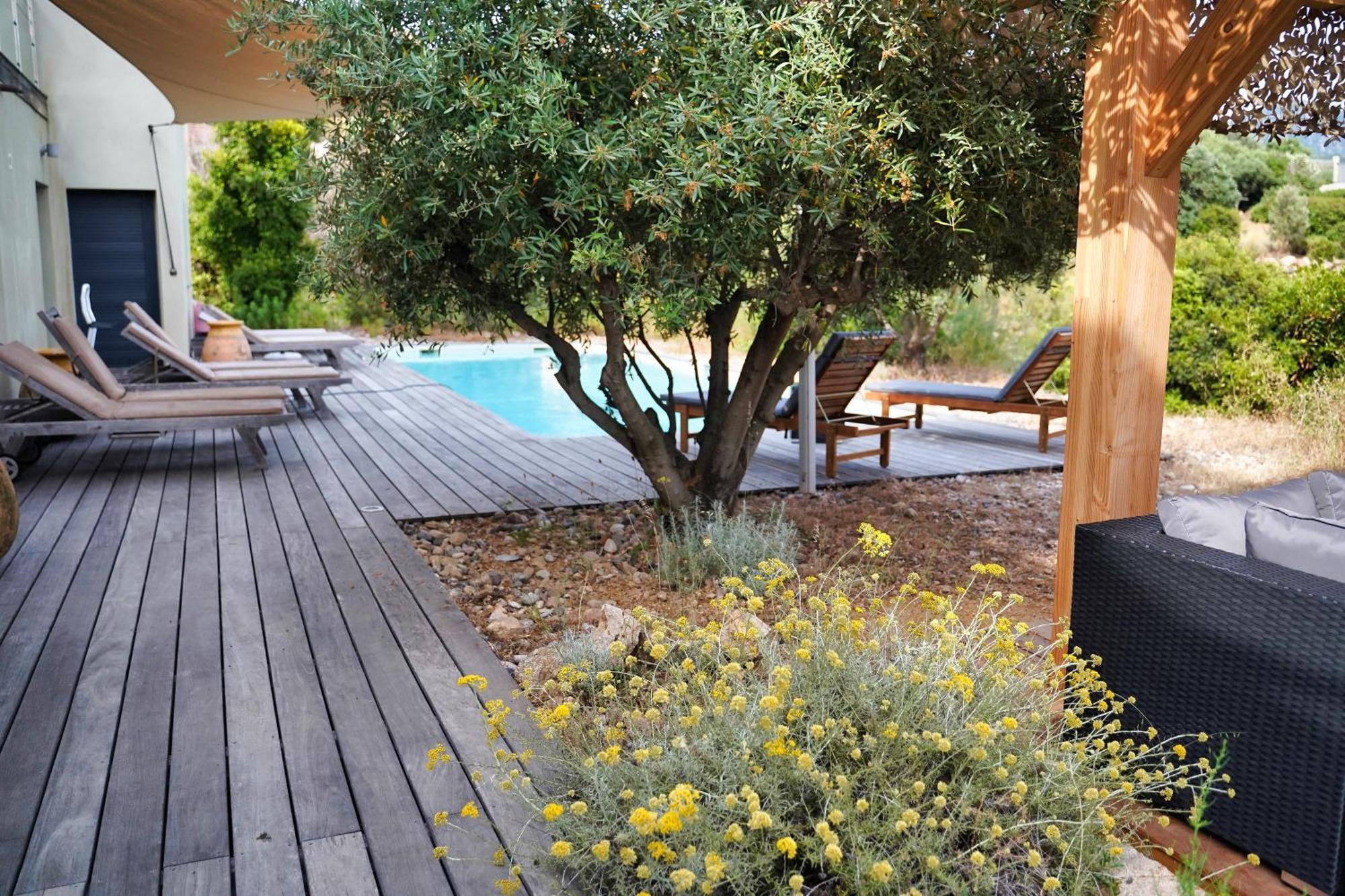 Casa Turrigiani Villa Sagone  Bagian luar foto