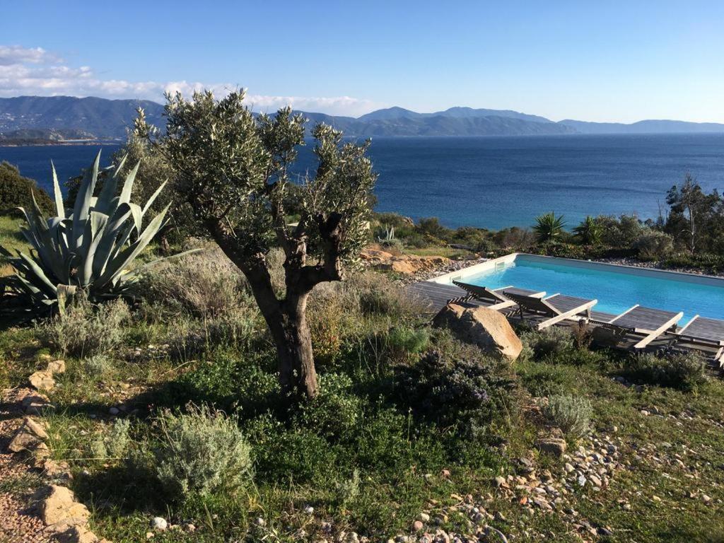 Casa Turrigiani Villa Sagone  Bagian luar foto