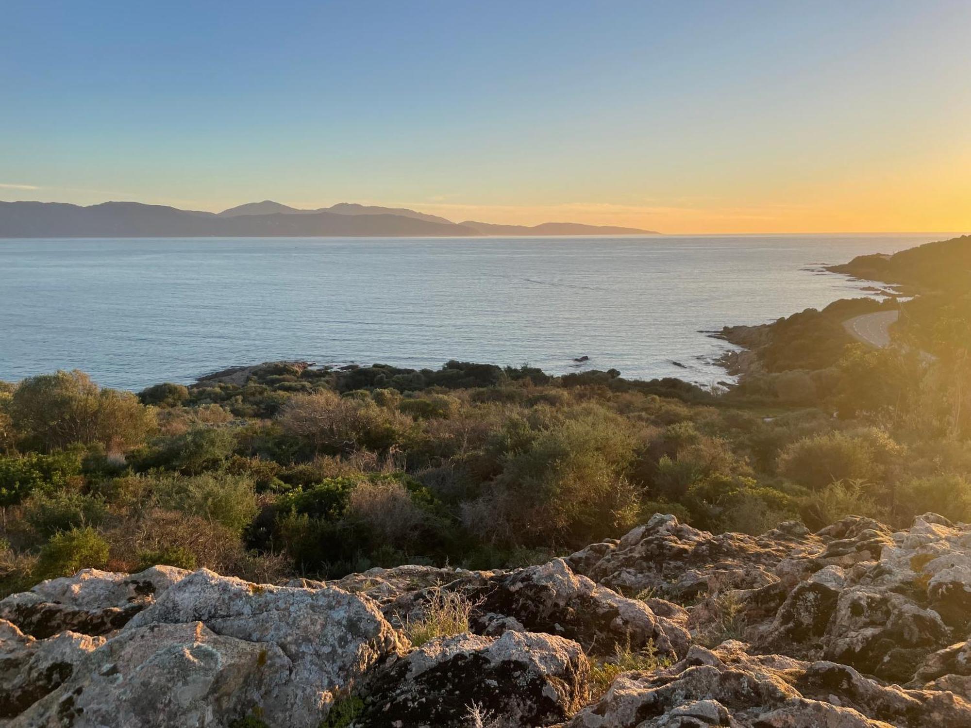 Casa Turrigiani Villa Sagone  Bagian luar foto