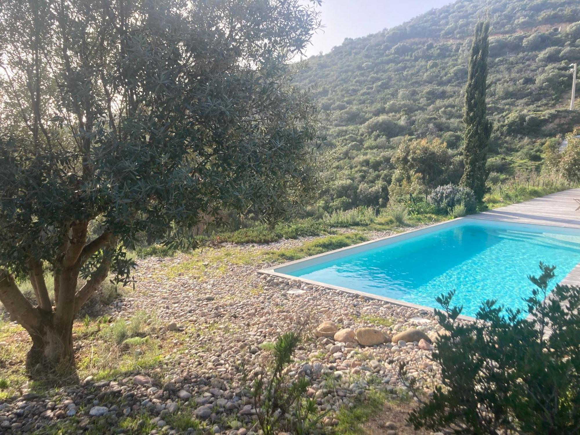 Casa Turrigiani Villa Sagone  Bagian luar foto