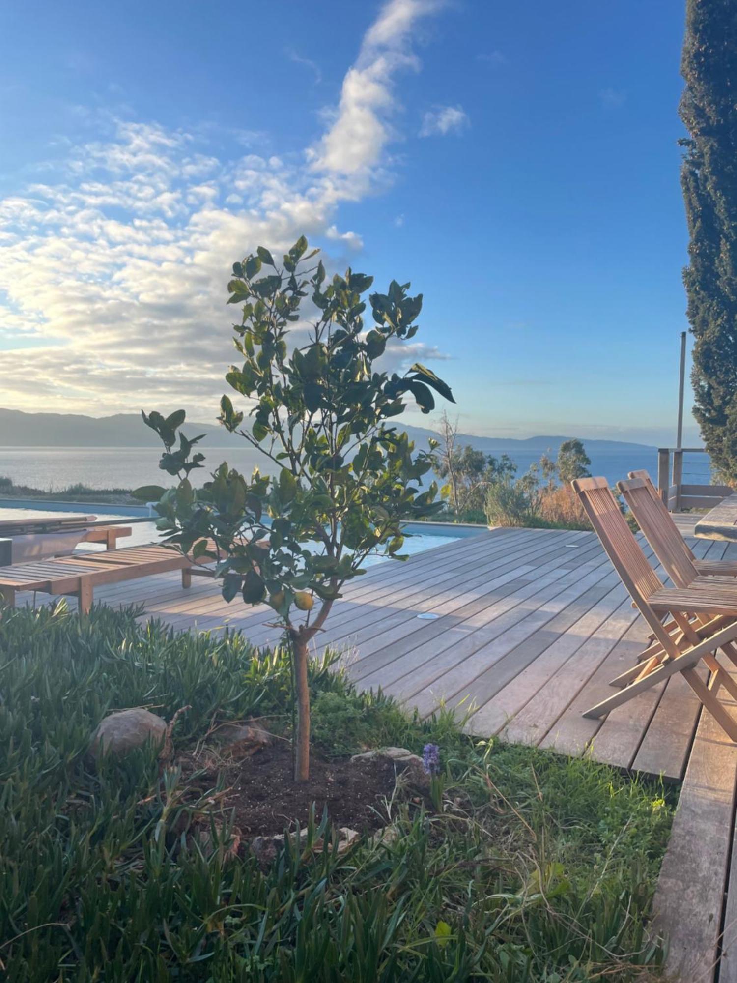 Casa Turrigiani Villa Sagone  Bagian luar foto